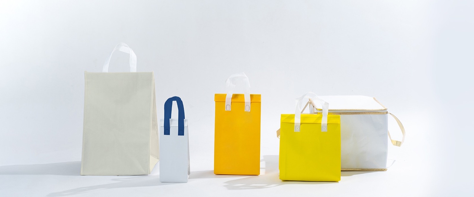 Insulated cooler bags in several sizes, from a small bottle carrier to a large box-shaped bag